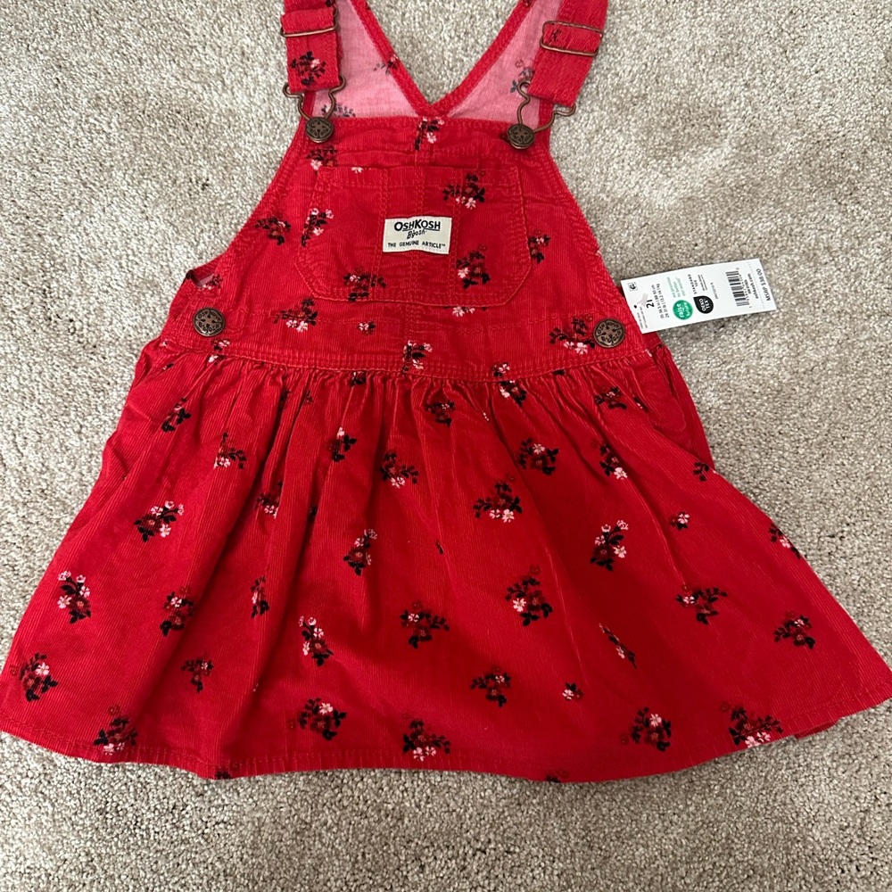 OshKosh B'gosh Red Floral Kids Casual Dress